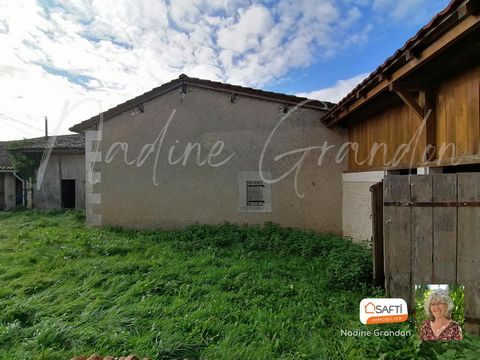 photo no. 10