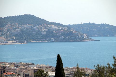 photo no. 4