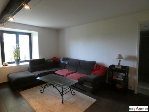 photo no. 3