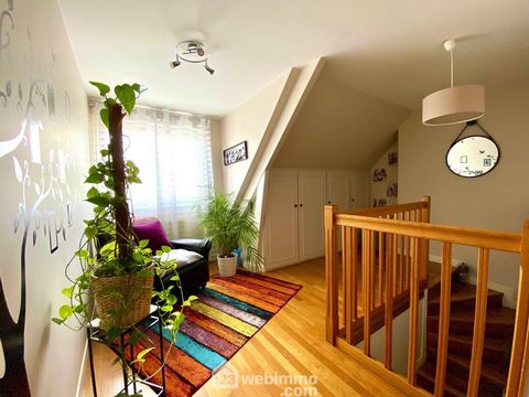 photo no. 11