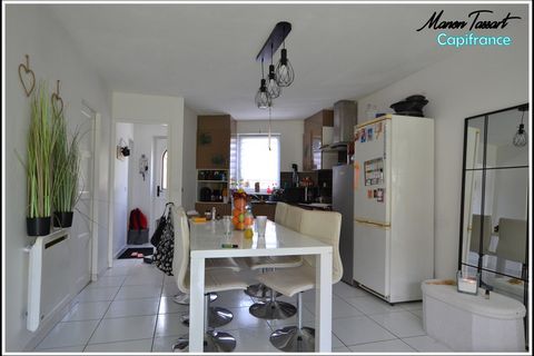 photo no. 2