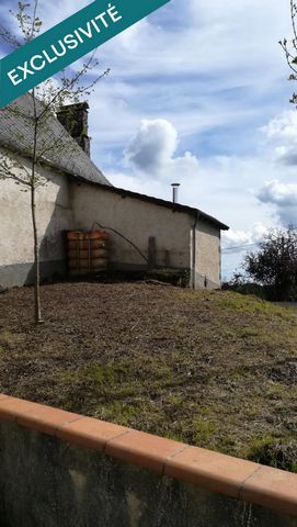 photo no. 8