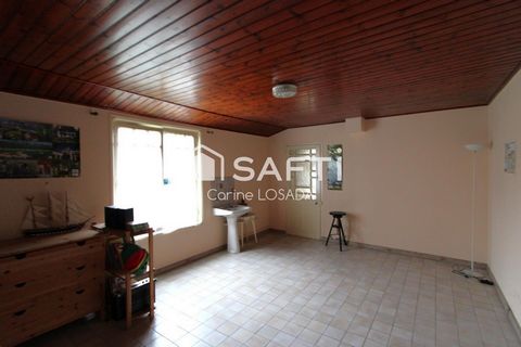 photo no. 7