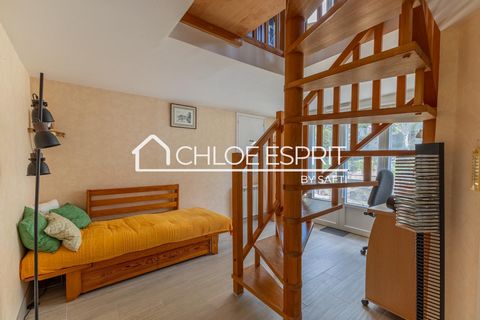 photo no. 13