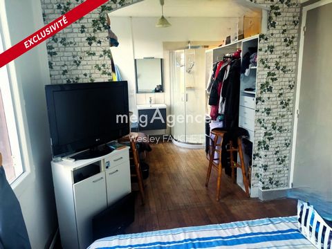 photo no. 10
