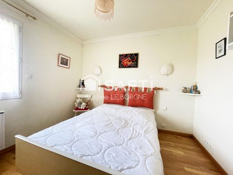 photo no. 7