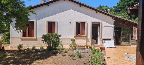 photo no. 5