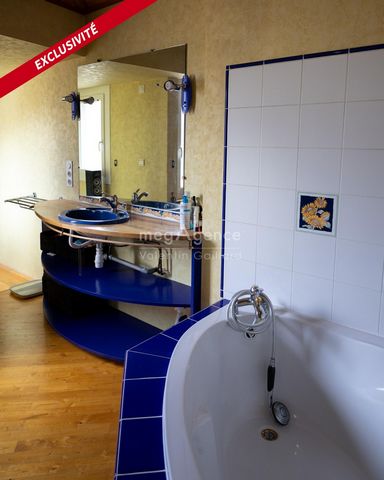 photo no. 15