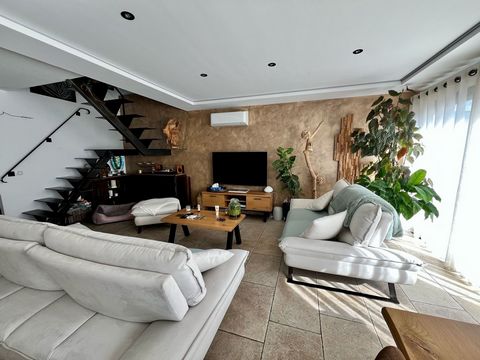 photo no. 11