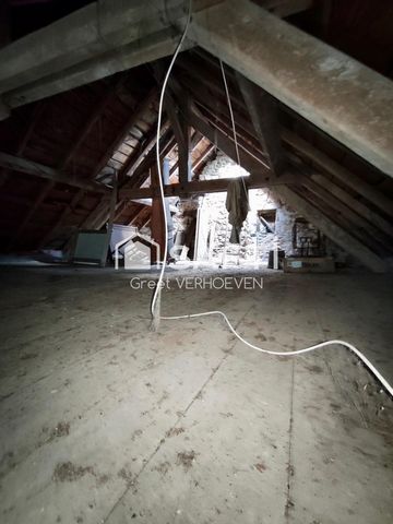 photo no. 18