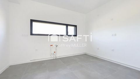 photo no. 5