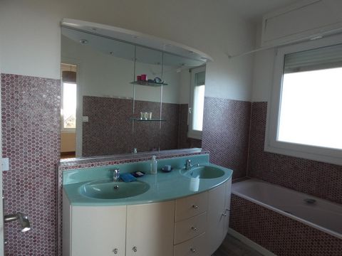 photo no. 7