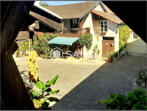 photo no. 10