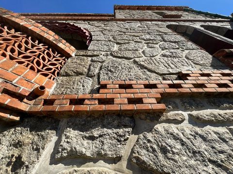 photo no. 12