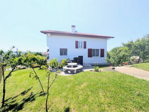 photo no. 11