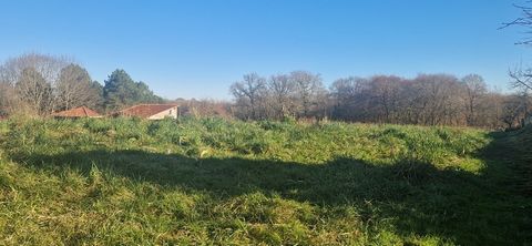 Terrain à vendre à bâtir LAREE (32)