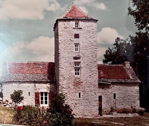 photo no. 1