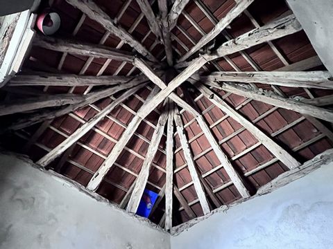 photo no. 6