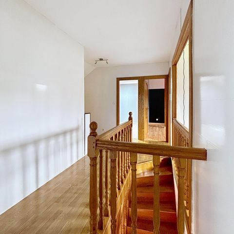 photo no. 10