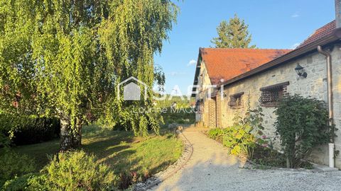 photo no. 19