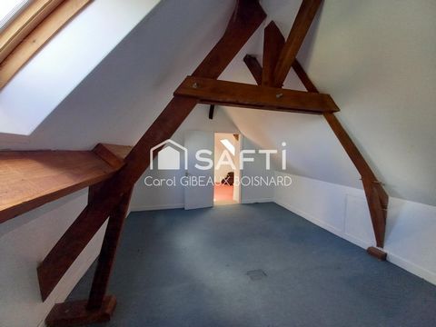 photo no. 11
