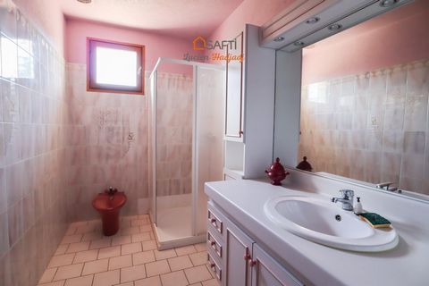 photo no. 10