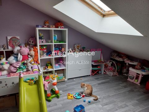 photo no. 6