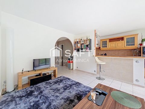 Très bel appartement T3 meublé au calme à louer