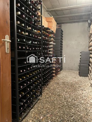 photo no. 13