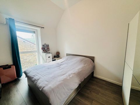 photo no. 12