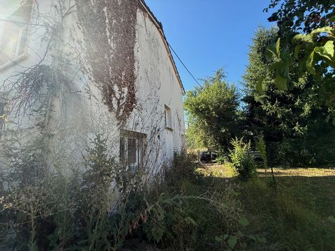photo no. 13