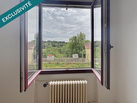 photo no. 11
