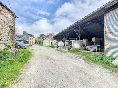 photo no. 16
