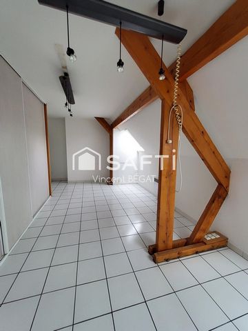 photo no. 11