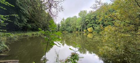 photo no. 19