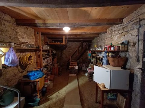 photo no. 11