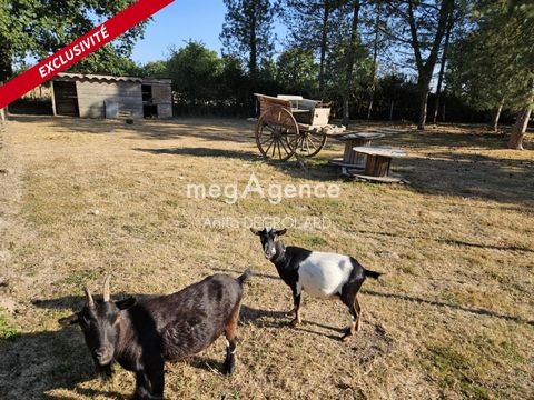 photo no. 13