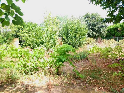 photo no. 8