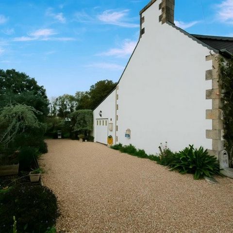 photo no. 14