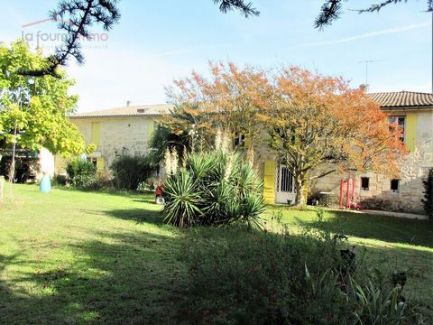 photo no. 3