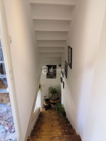 photo no. 7