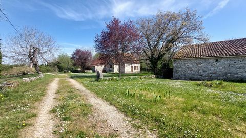 photo no. 2