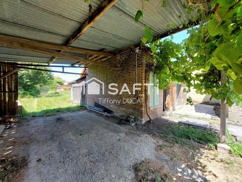 photo no. 15