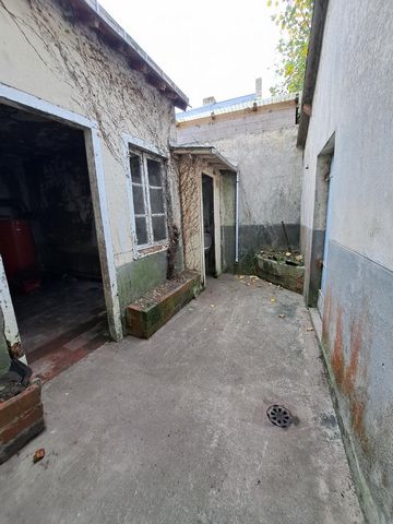 photo no. 8