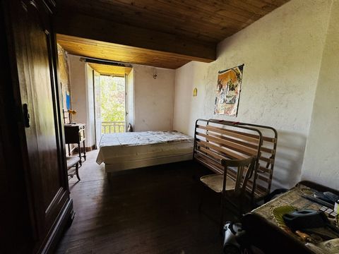 photo no. 7