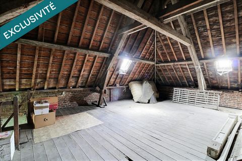 photo no. 12