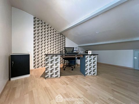 photo no. 11