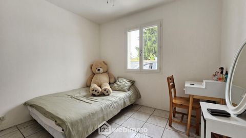 photo no. 7