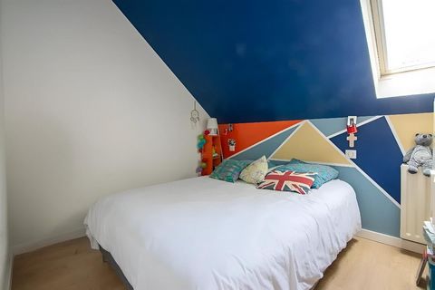 photo no. 8