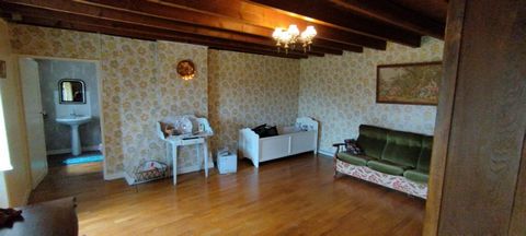 photo no. 13